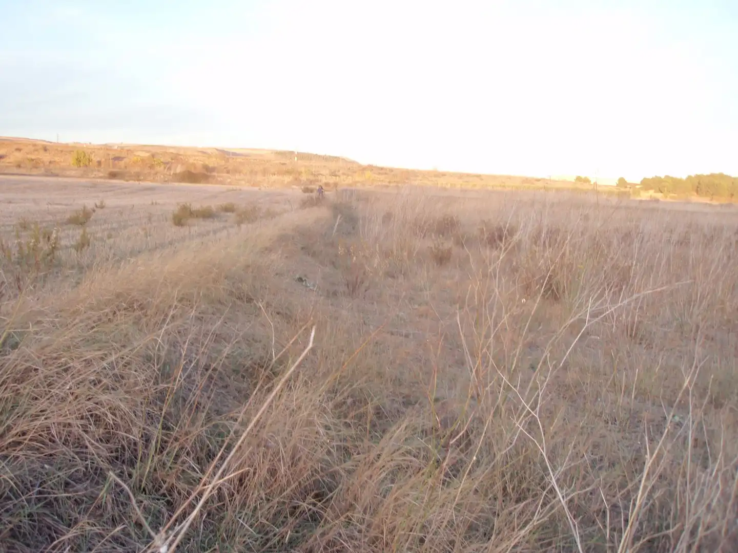 Rural land for sale in Viana, imagen 6