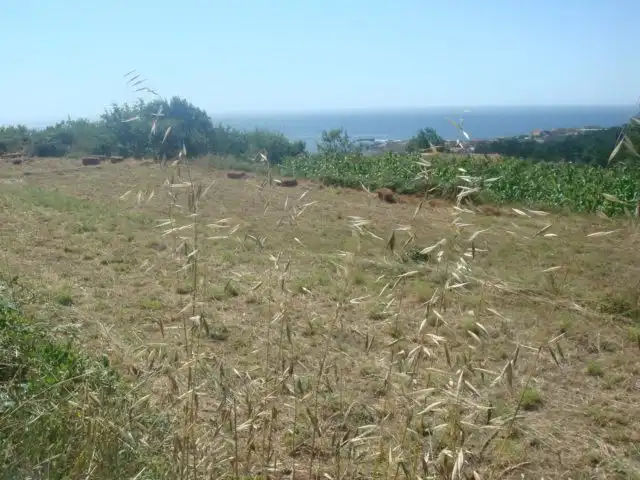 Terrenys i solars en venda a Oia, imagen 7