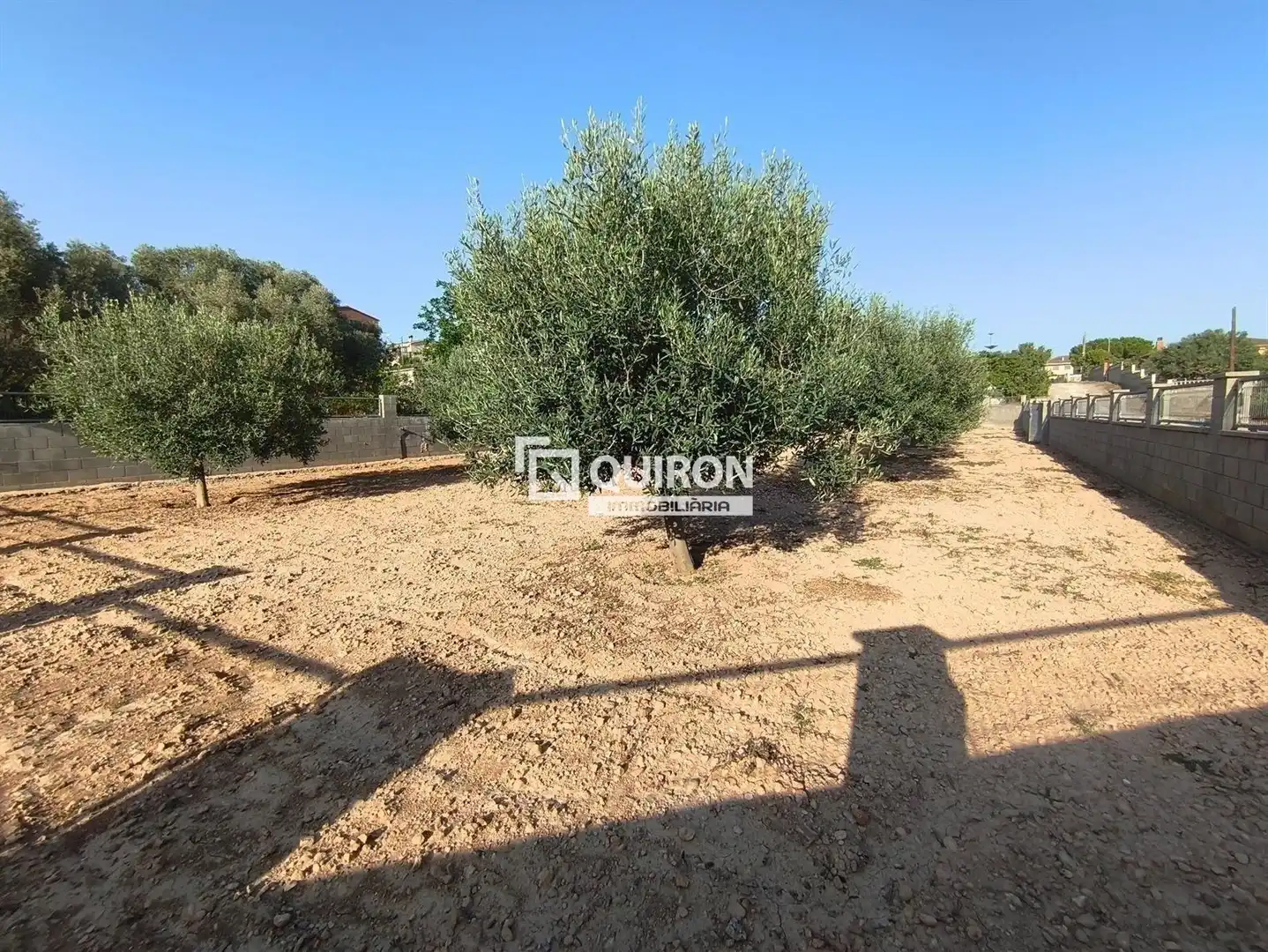 Land for sale in Montferri
