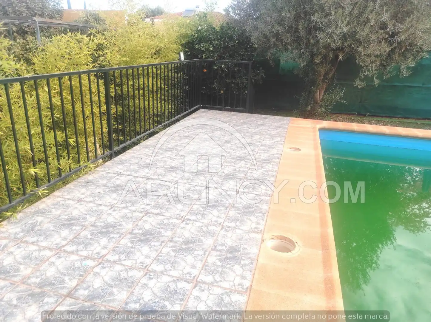 Chalet con piscina en venta en Mairena del Alcor, imagen 11