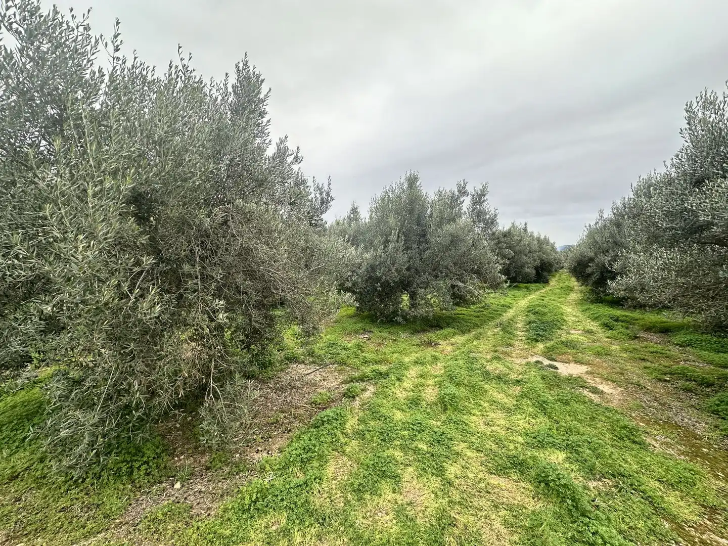 Wohnbaugrundstück zum Verkauf in Petrés, imagen 44