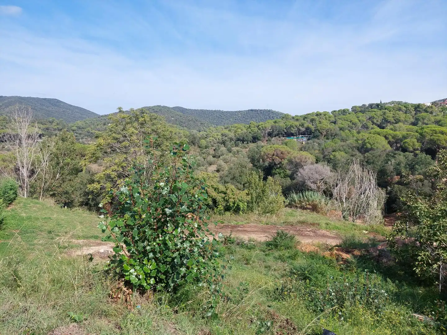 Wohnbaugrundstück zum Verkauf in Cabanyes - Mas Ambrós - Mas Pallí, imagen 7