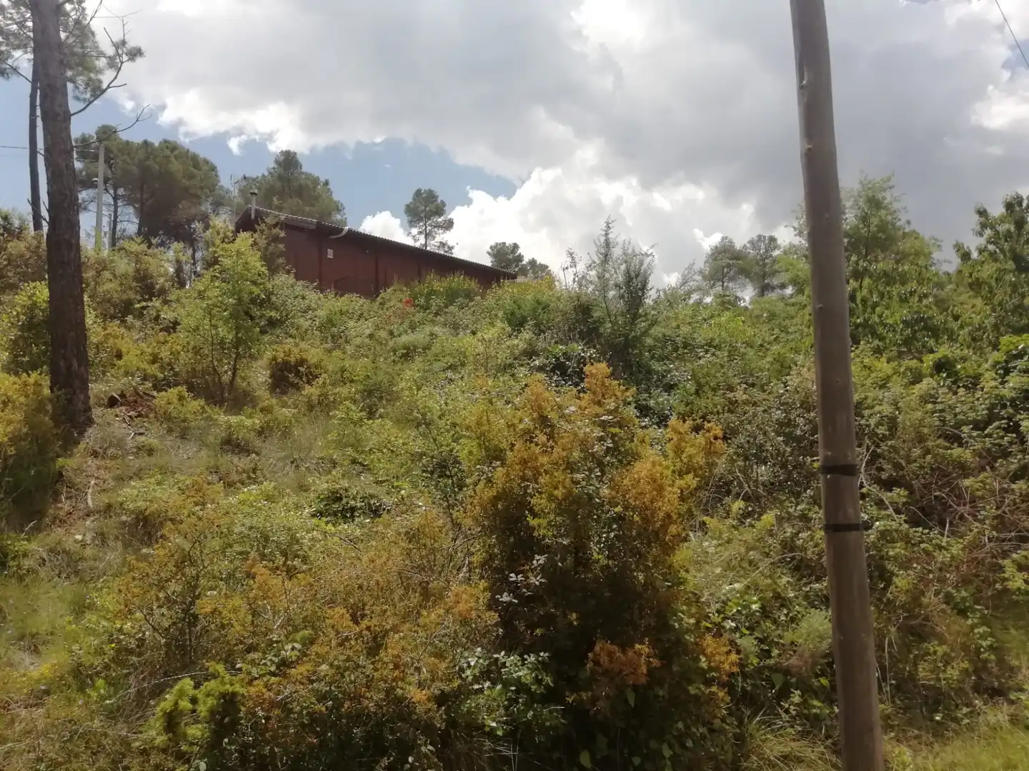 Residential land for sale in Mediona, imagen 17