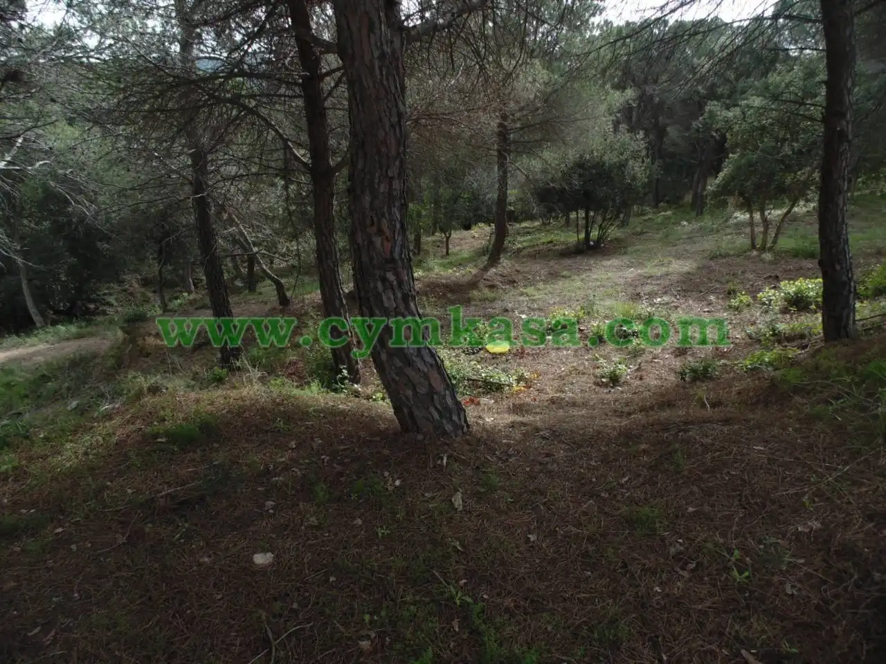 Terreno residencial en venta en Mas Mora - Sant Daniel, imagen 5