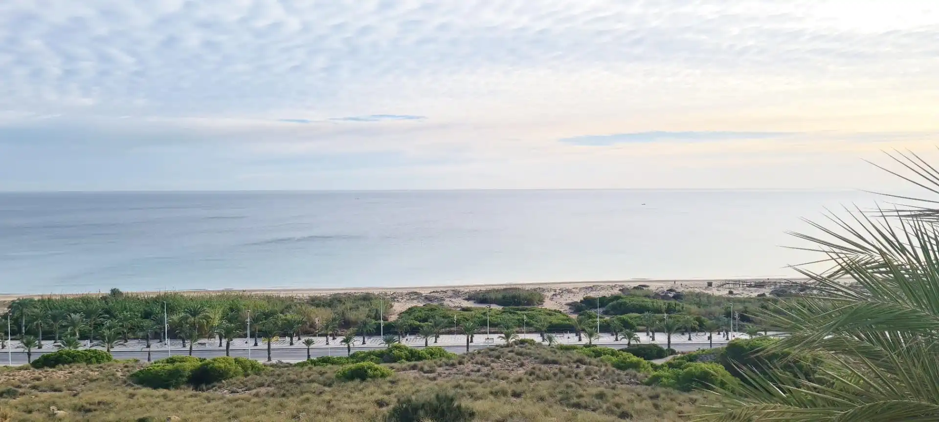 Bungalow con piscina en venta en Los Arenales del Sol, imagen 7
