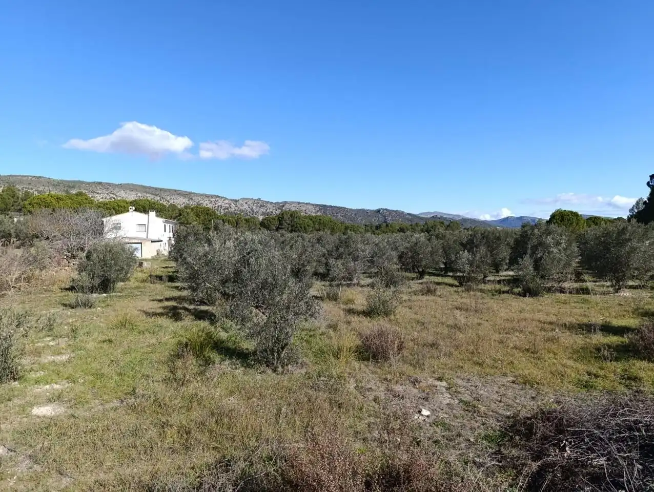 Country house for sale in Batoi, imagen 33