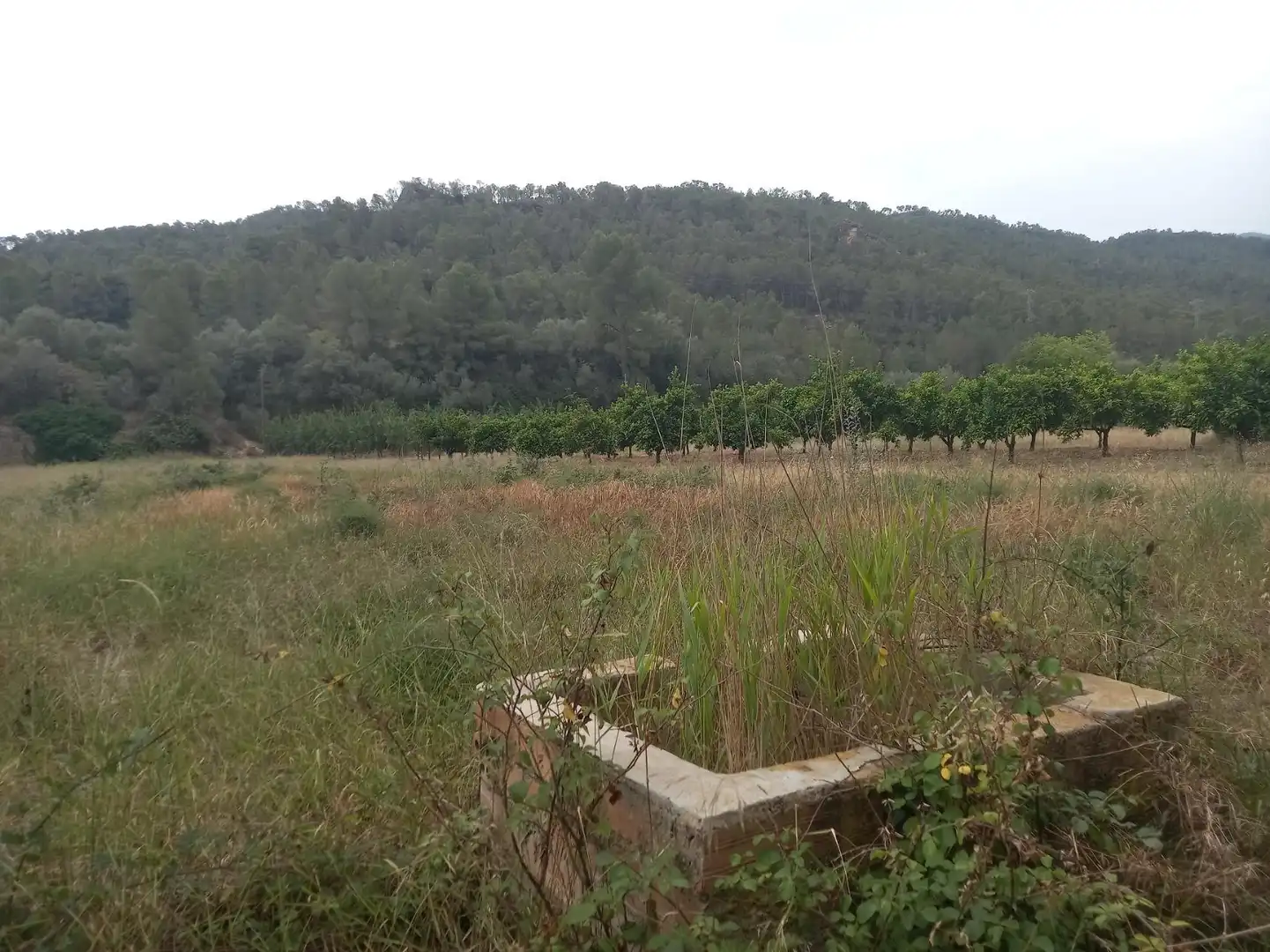 Terrenys i solars en venda a Miravet, imagen 15