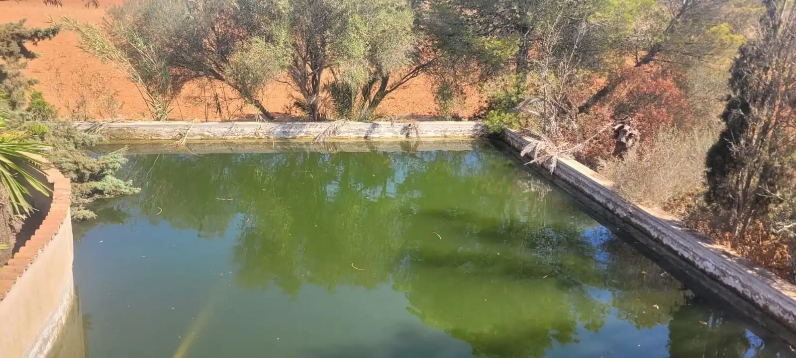Piscina de Casa adosada en venta en Campos con Trastero y Piscina