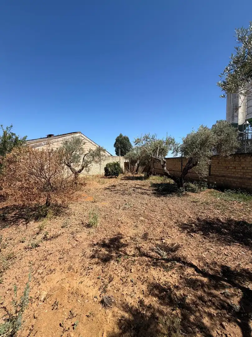 Finca rústica en venda en Utrera
