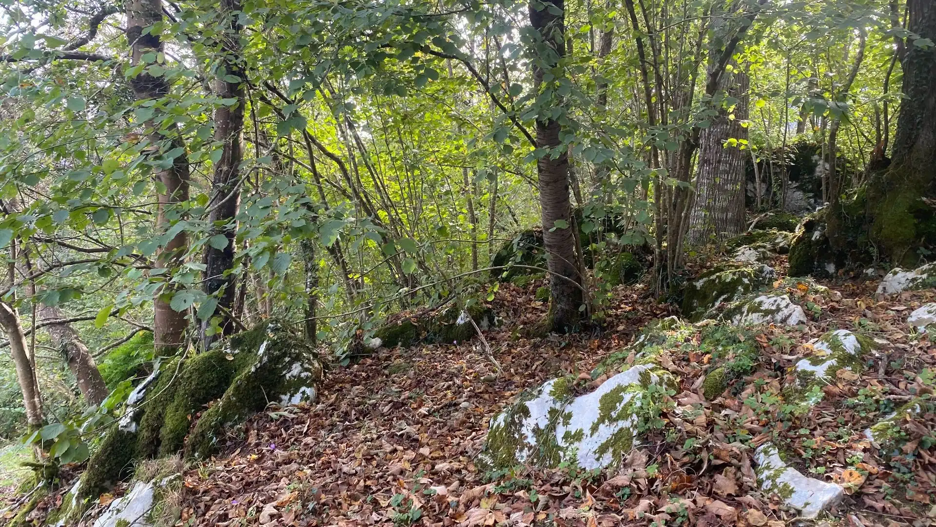Grundstücke und Bauplätze zum Verkauf in Villar, imagen 23