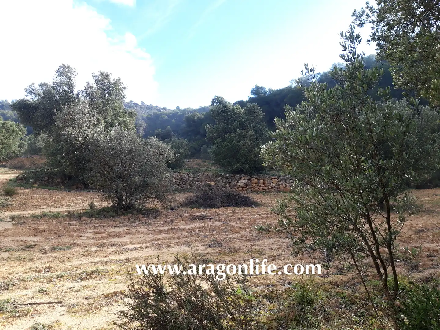 Finca rústica en venta en Batea