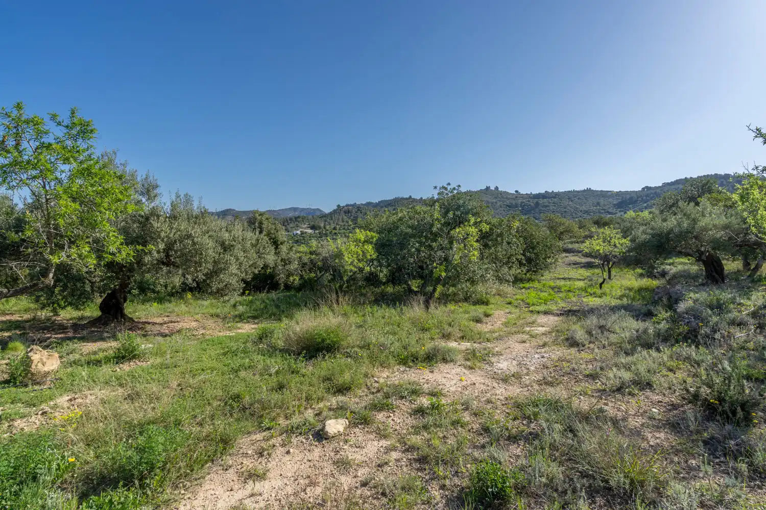 Casa o xalet en venda en Tortosa amb Jardí privat, Moblat i Rentadora
