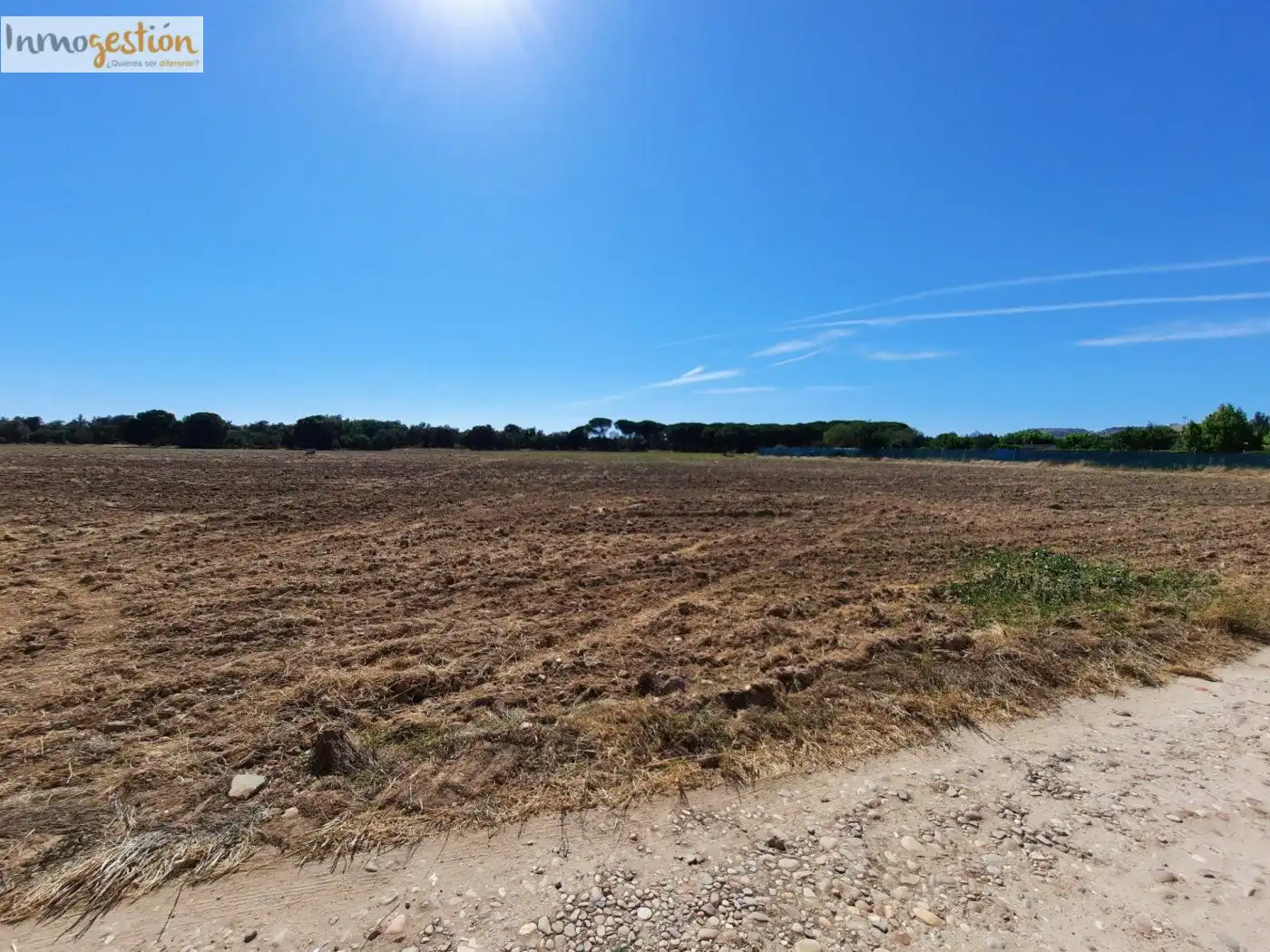 Terreno residenziale in vendita a Tudela de Duero, imagen 4