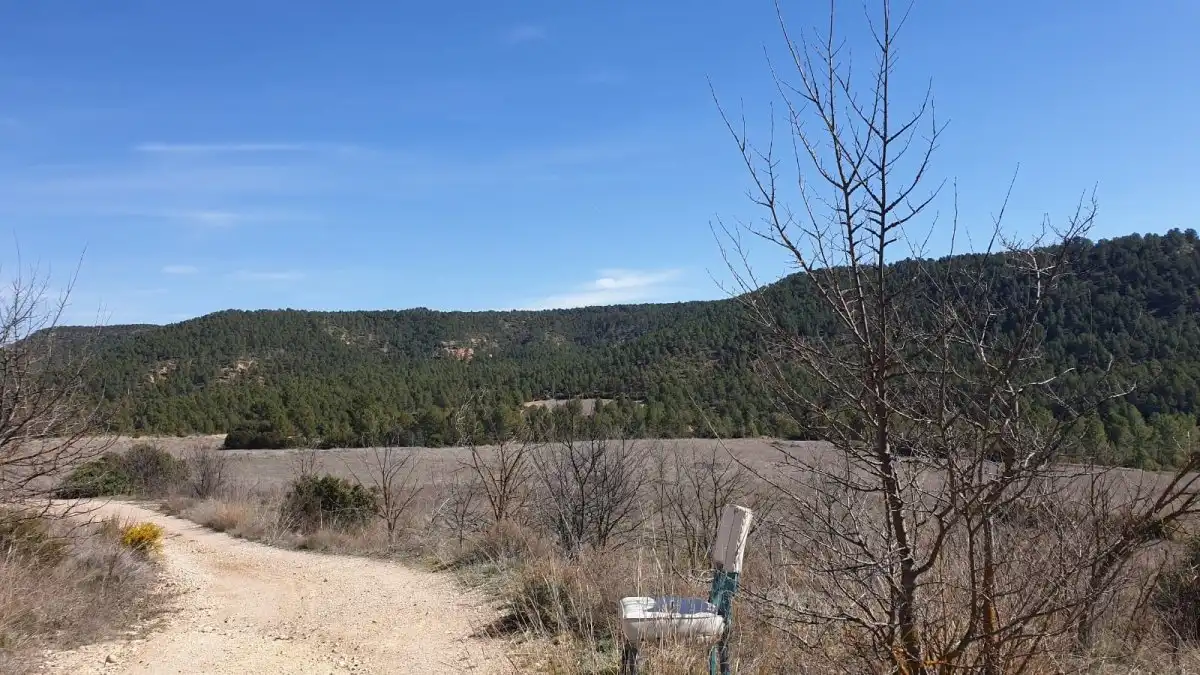 Terrain résidentiel à vendre à Requena