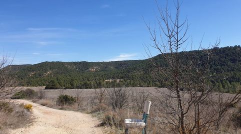 TERRENO RUSTICO EN REQUENA  8 HECTAREAS 80.000 METROS