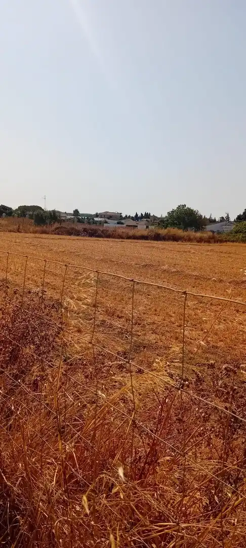 Terreni e lotti in vendita a Camino del Atunero, imagen 6