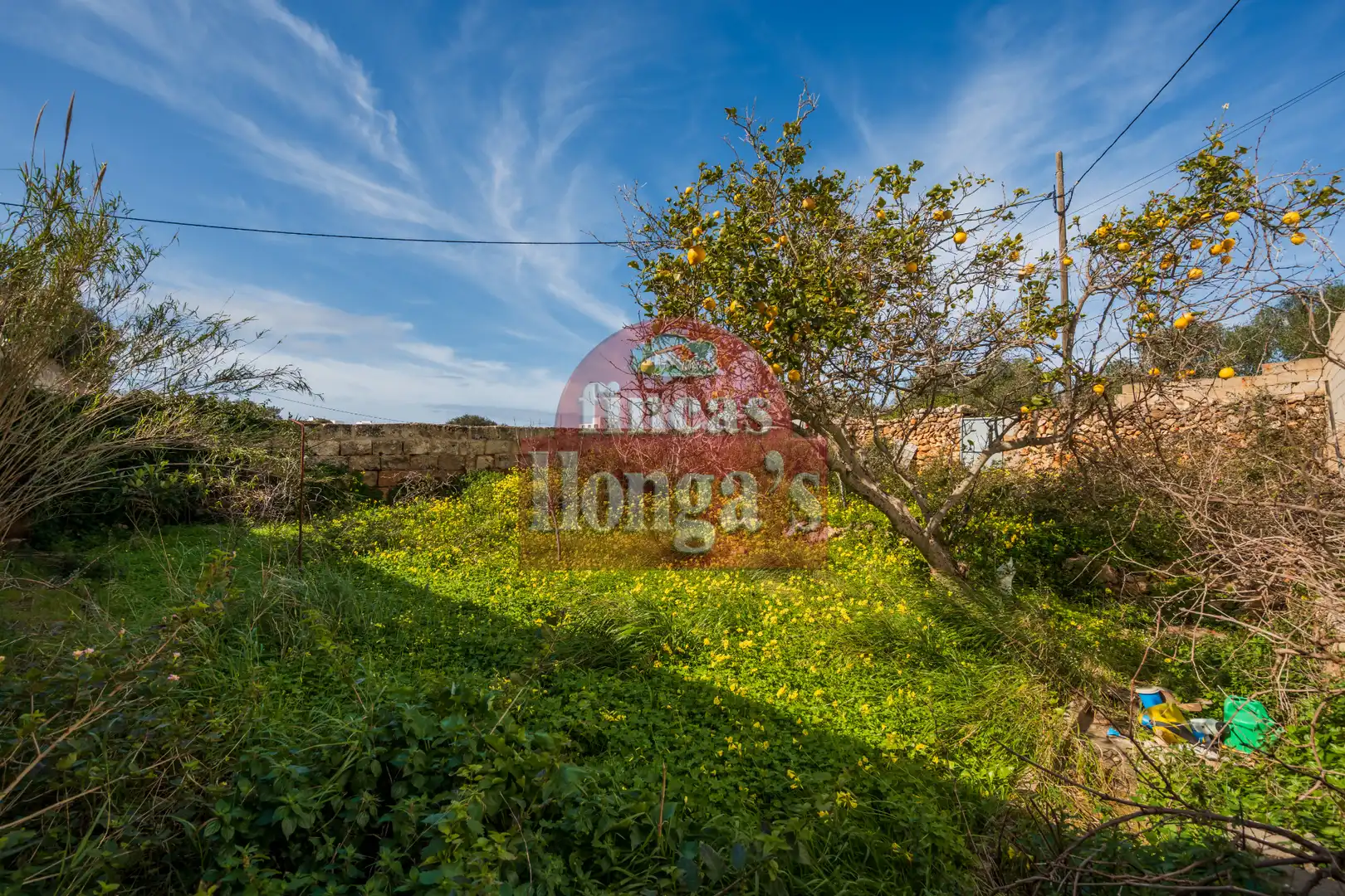 Rural land for sale in Ciutadella, imagen 2