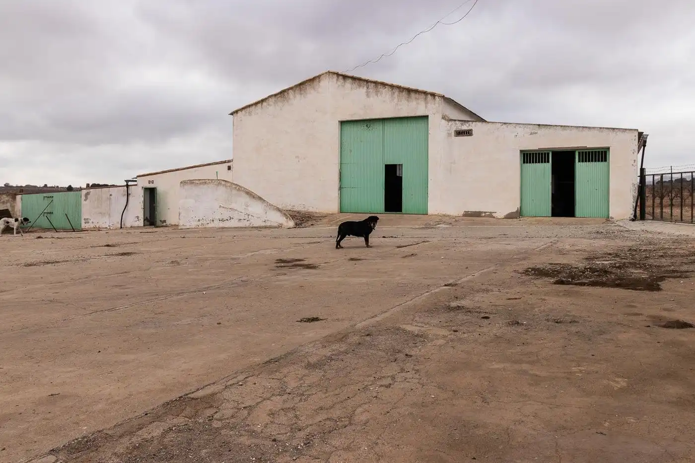 Xalet en venda a Mula, imagen 8