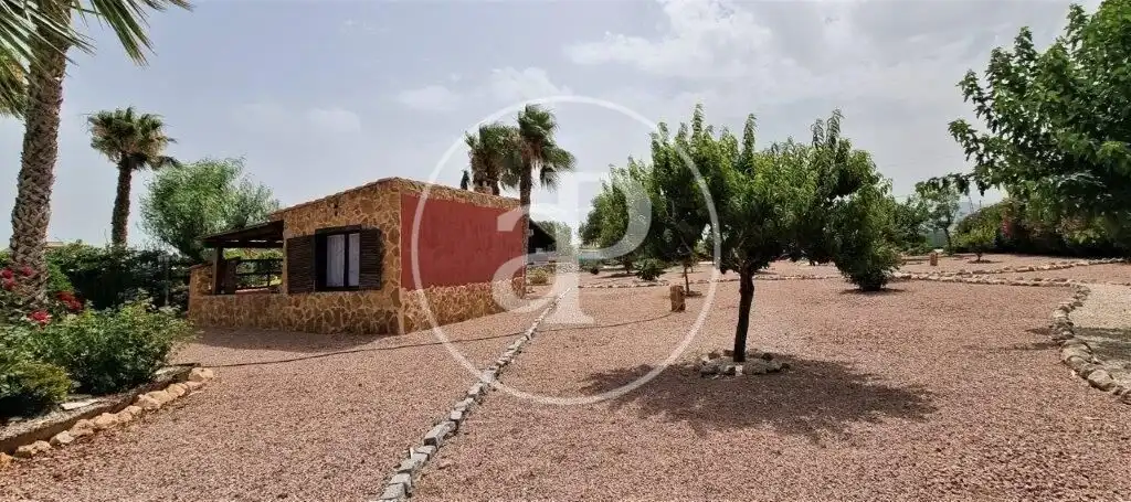 Jardín de Casa o chalet en venta en Catral con Aire acondicionado, Calefacción y Jardín privado