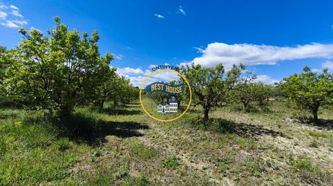 LOTE DE PARCELAS DE TERRENO EN PRODUCCIÓN DE FRUTALES CON 54.441m2 A SU DISPOSICIÓN EN AGULENT, immagine 4