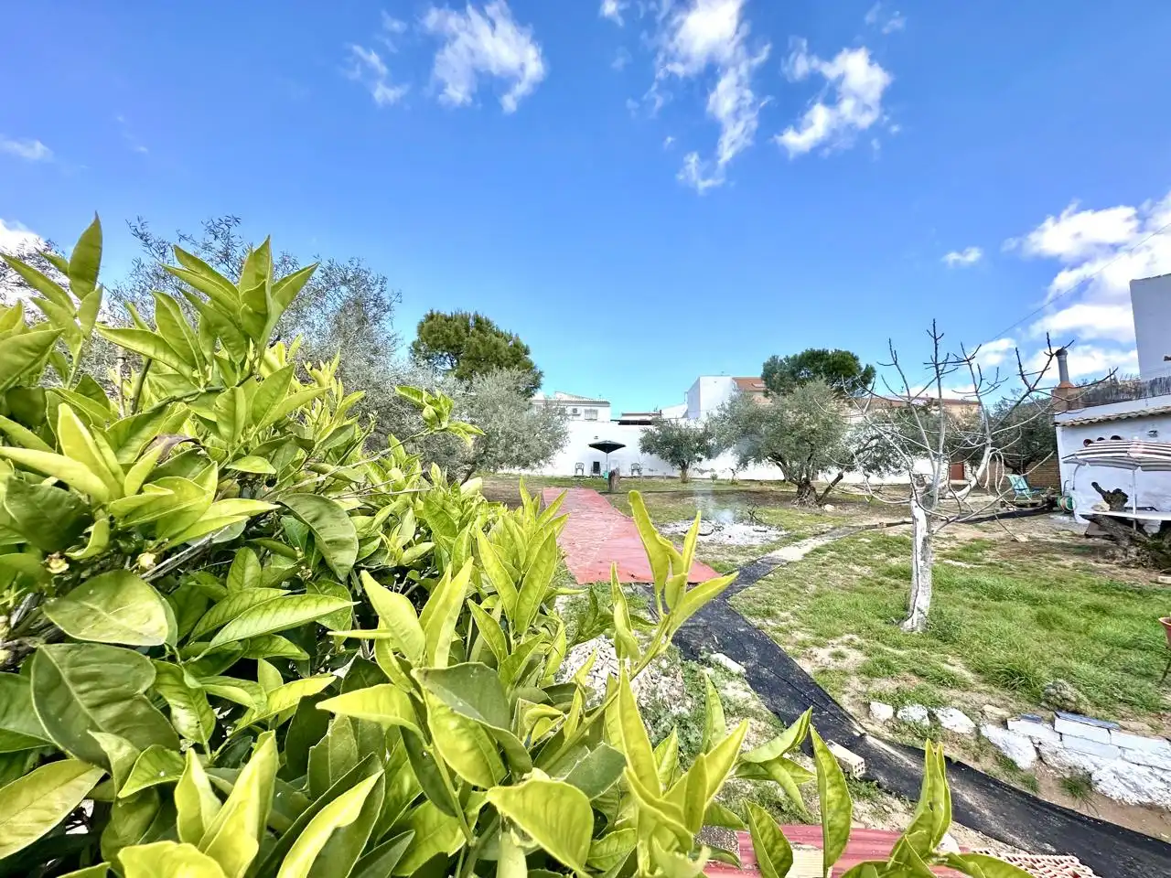 Casa amb jardí en venda a Villanueva de Algaidas, imagen 58