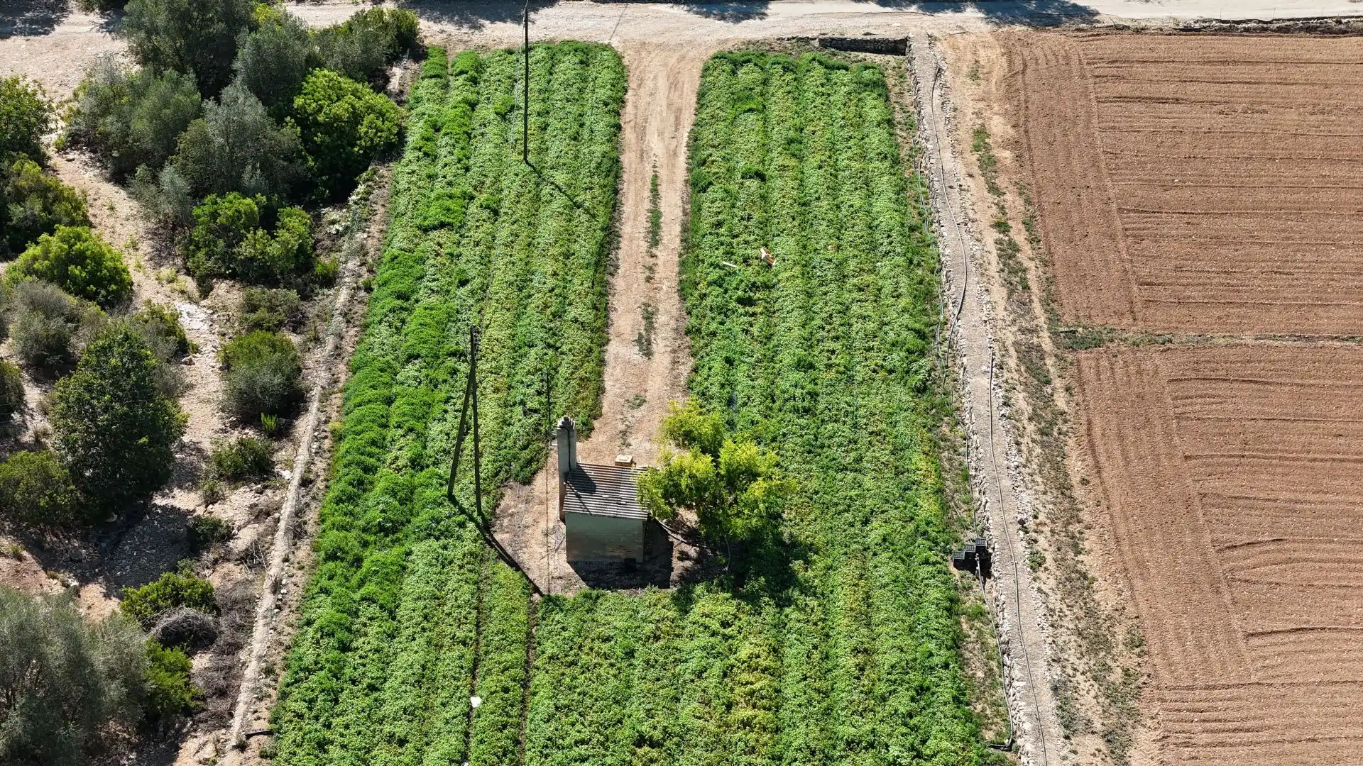Terreno en venta en Tortosa