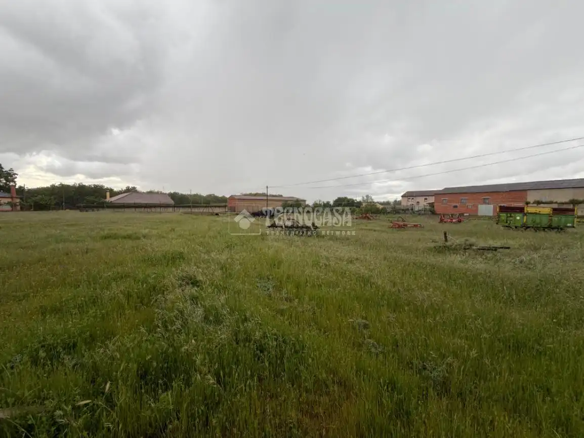 Land for sale in Villanueva de las Manzanas