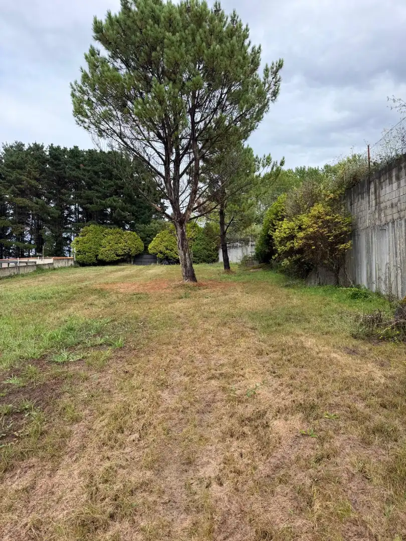 Rural land for sale in La Iglesia, imagen 10