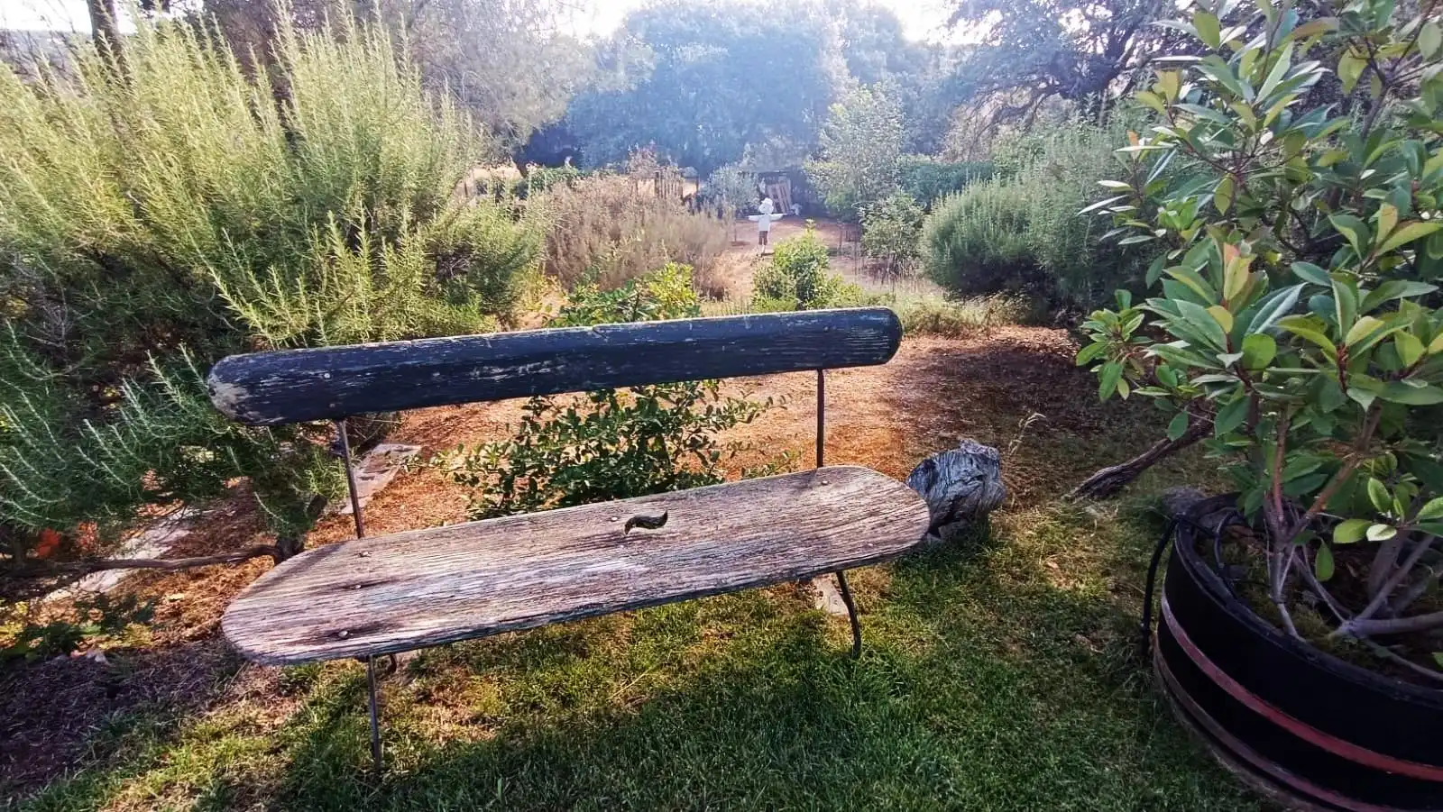 Jardí de Casa o xalet en venda en Palacios del Pan amb Calefacció, Jardí privat i Terrassa