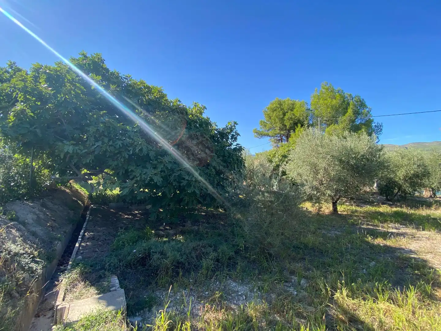 Terrain rustique à vendre à Moratalla, imagen 13