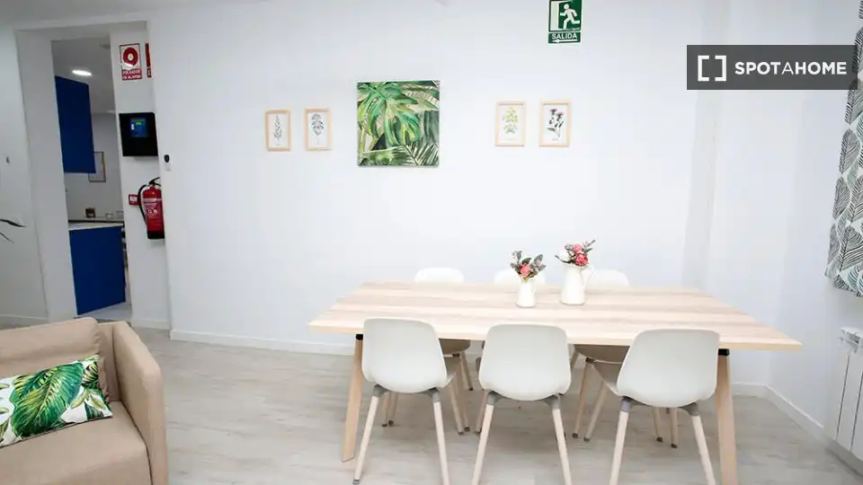 Room in Sol