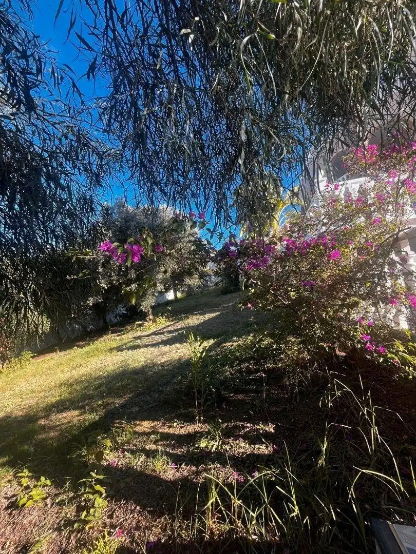 Jardín de Casa o chalet en venta en Rojales con Calefacción, Jardín privado y Piscina