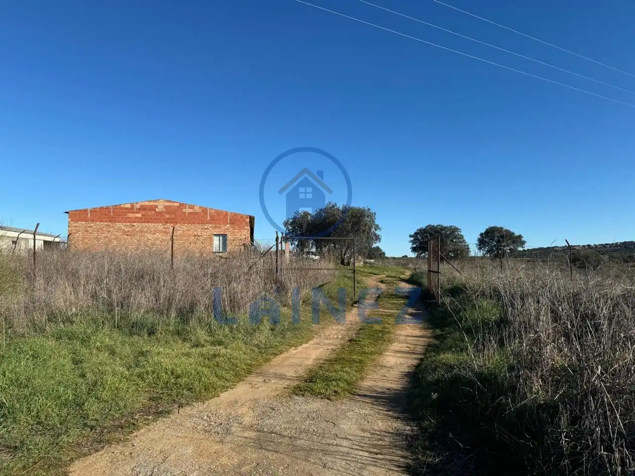 Terrains et parcelles à vendre à La Granjuela, imagen 3