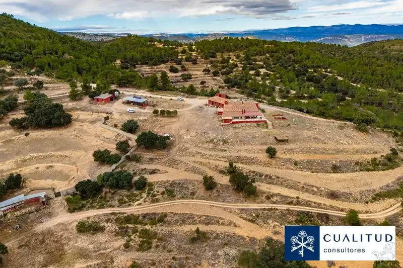 Land for sale in Torralba del Pinar