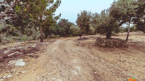 Foto 5 de Finca rústica en venda a Urbanitzacions, Tarragona