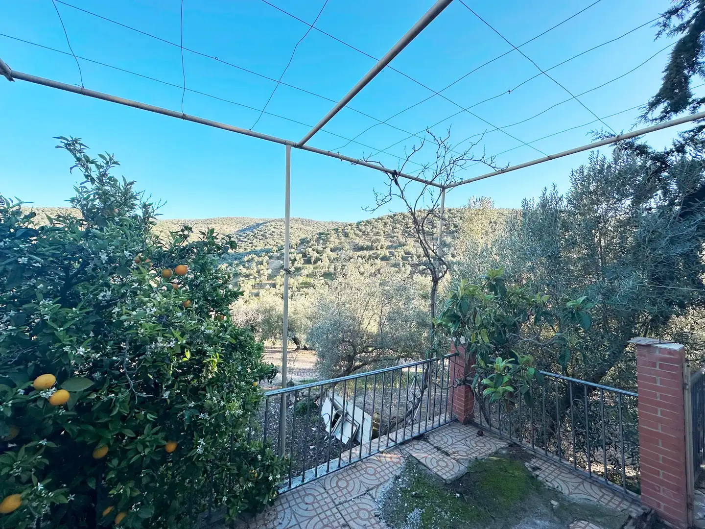 Garden of Houses for sale in Villanueva de Algaidas
