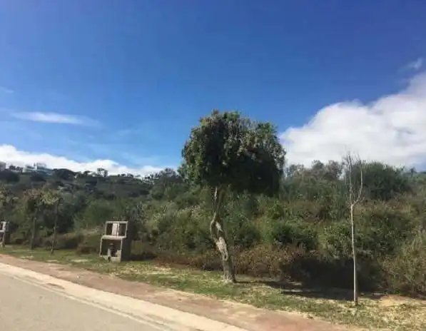 Residencial en venta en Sotogrande