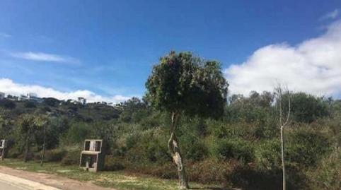 Foto 3 de Residencial en venda a Calle Sotogrande (c. de Golf), 202, Sotogrande Alto, Cádiz