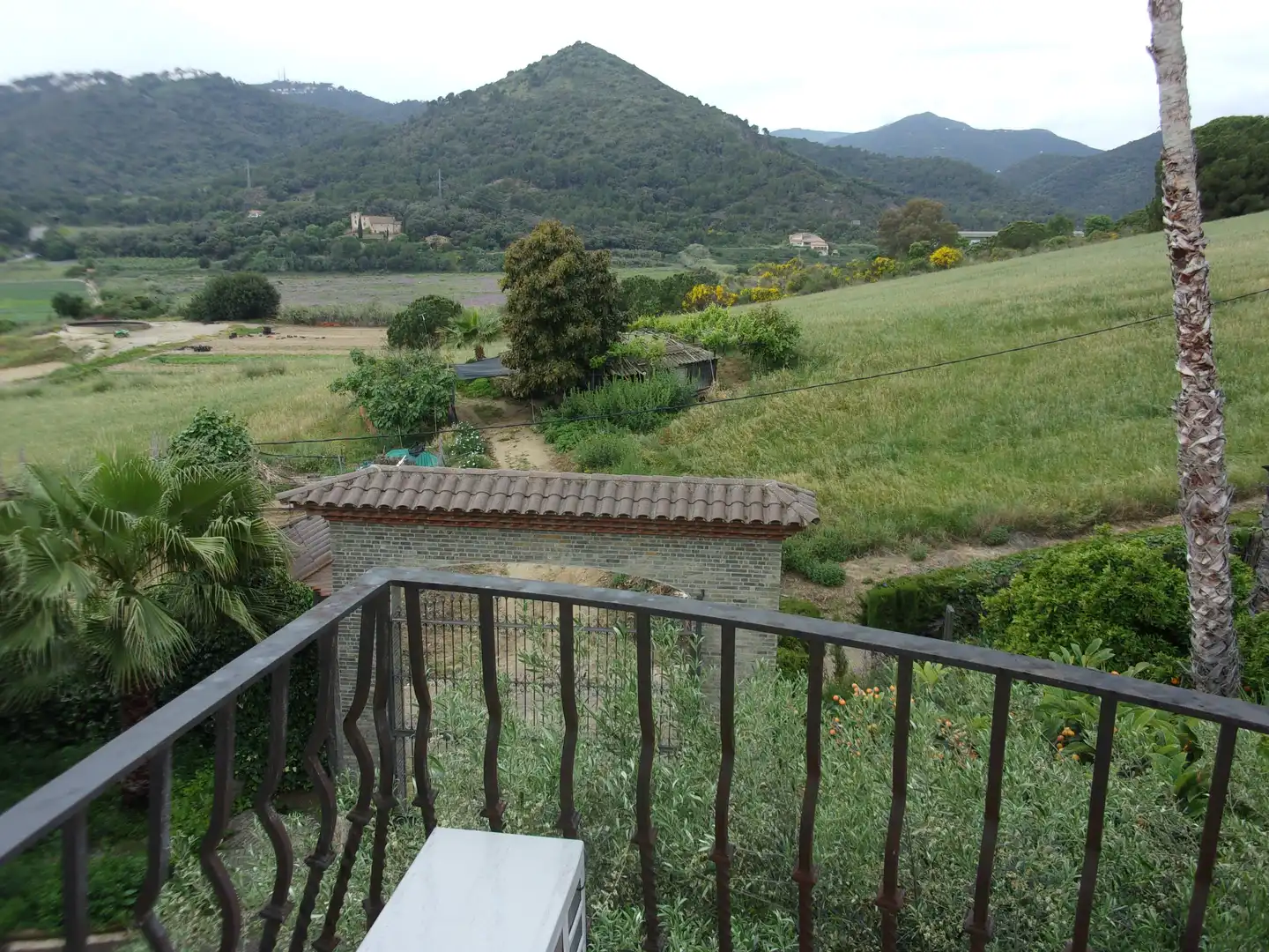 Houses for sale in Pinemar