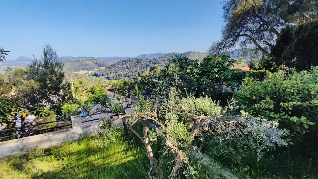Xalet amb jardí en venda a Oliva pueblo, imagen 28