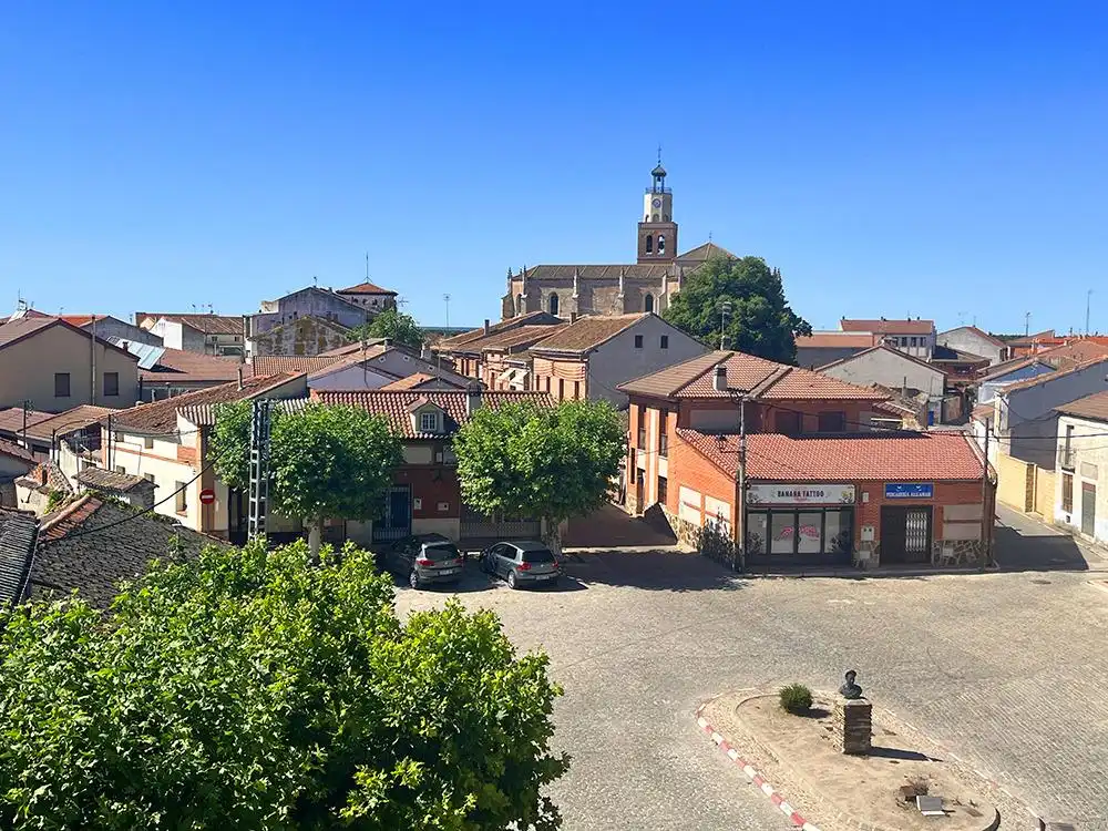 Exterior view of Houses for sale in Coca, Segovia