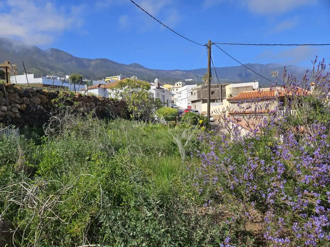 Rural land for sale in Calle Capitán Núñez 18, imagen 4