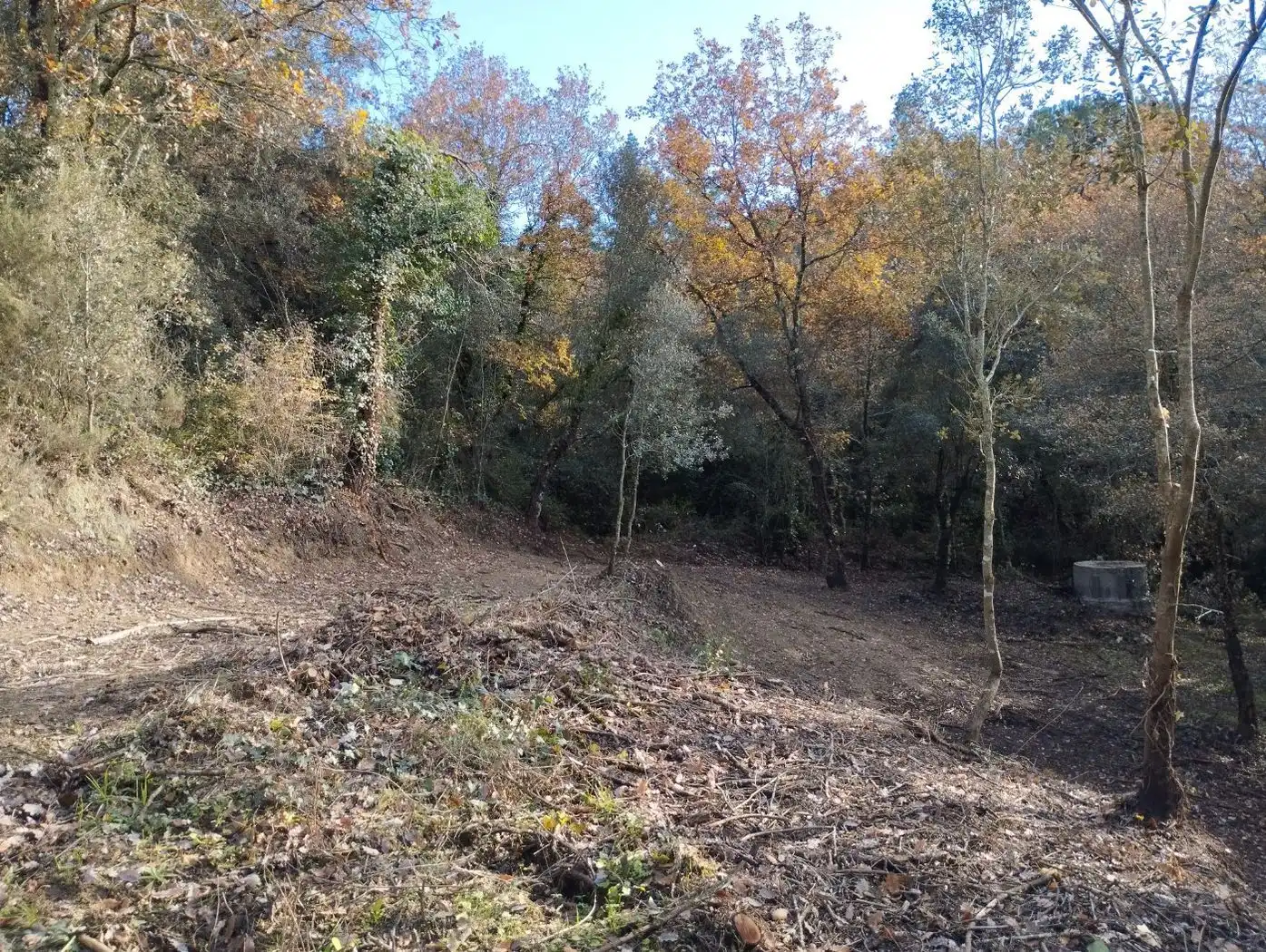 Finca rústica en venda en Quart