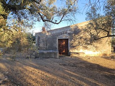 Terrenys i solars en venda a Aldover