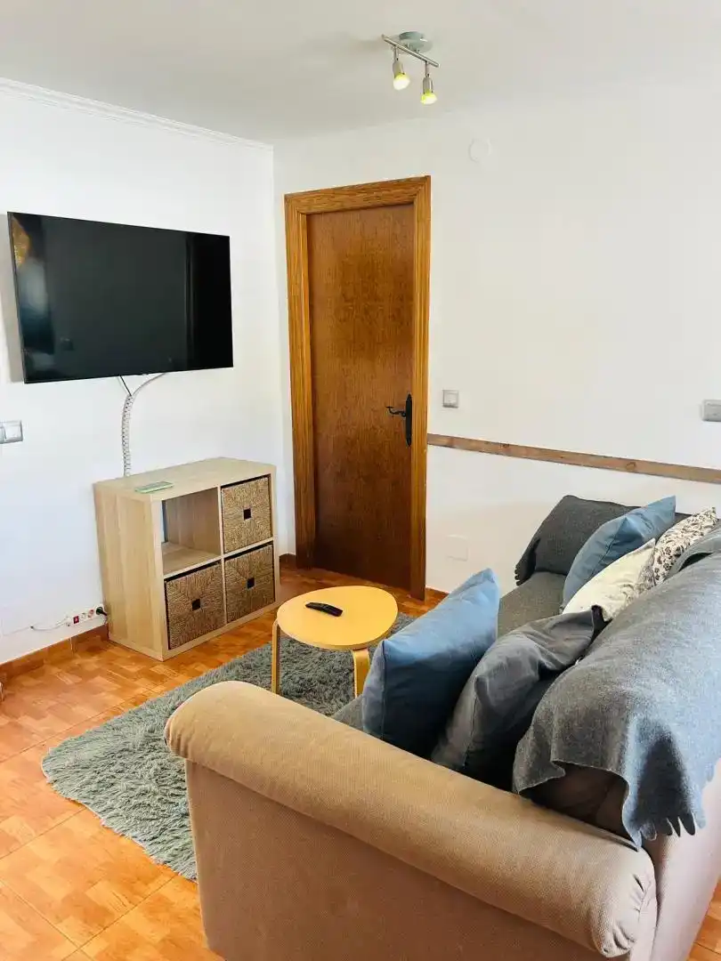 Living room of Flat for rent in Centro