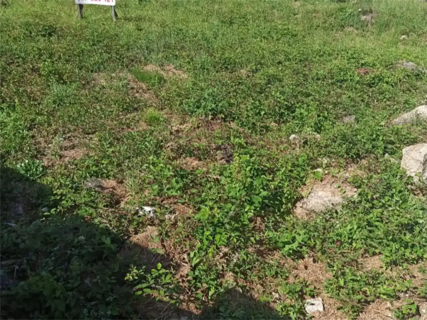 Terreno en venta en Ramirás