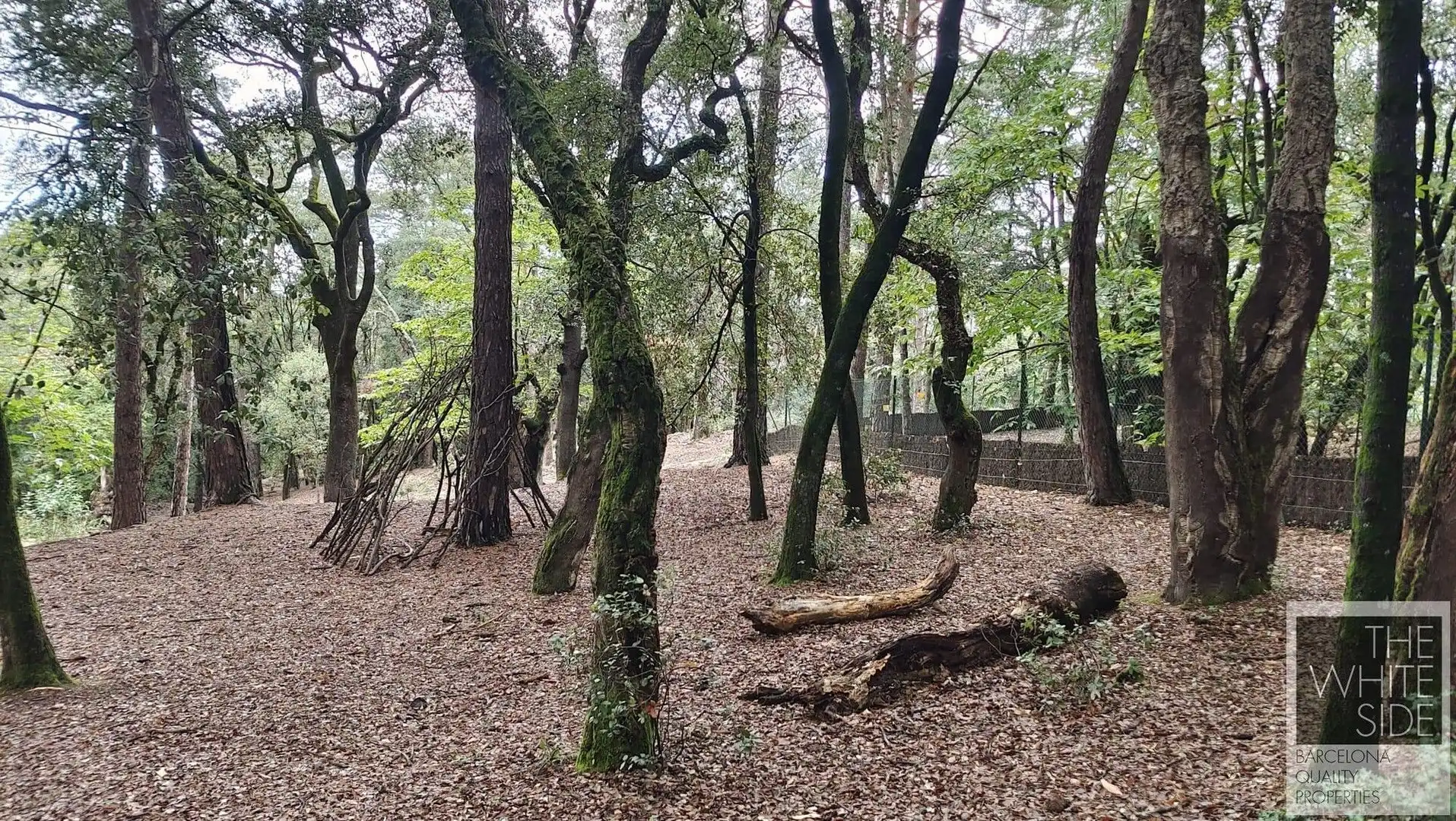 Terrenos y solares en venta en Viladrau, imagen 23