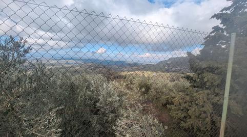 Foto 4 de Finca rústica en venda a Alcaudete, Jaén