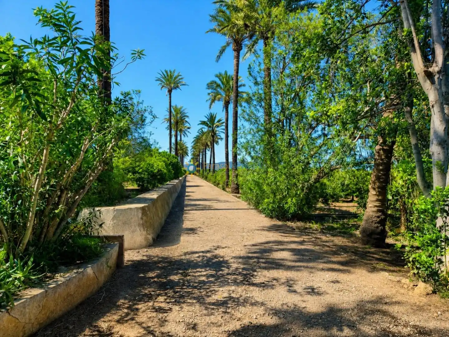 Vista exterior de Finca rústica en venta en Cotes con Terraza y Trastero