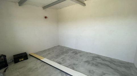 En Venta finca de oliveras con Caseta de Aperos en Cehegin (Murcia)., immagine 5